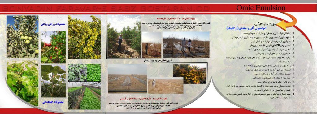 شرکت بنیادین فرآور سبز گستران