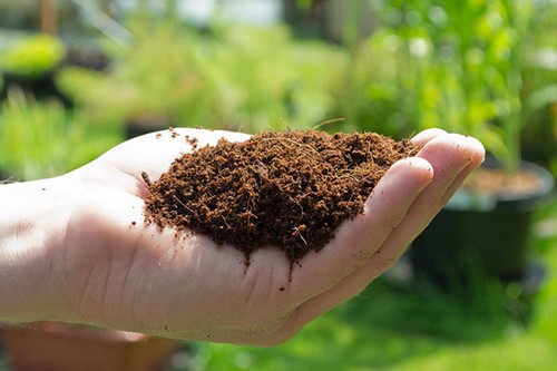 نکات و توصیه های کشاورزی